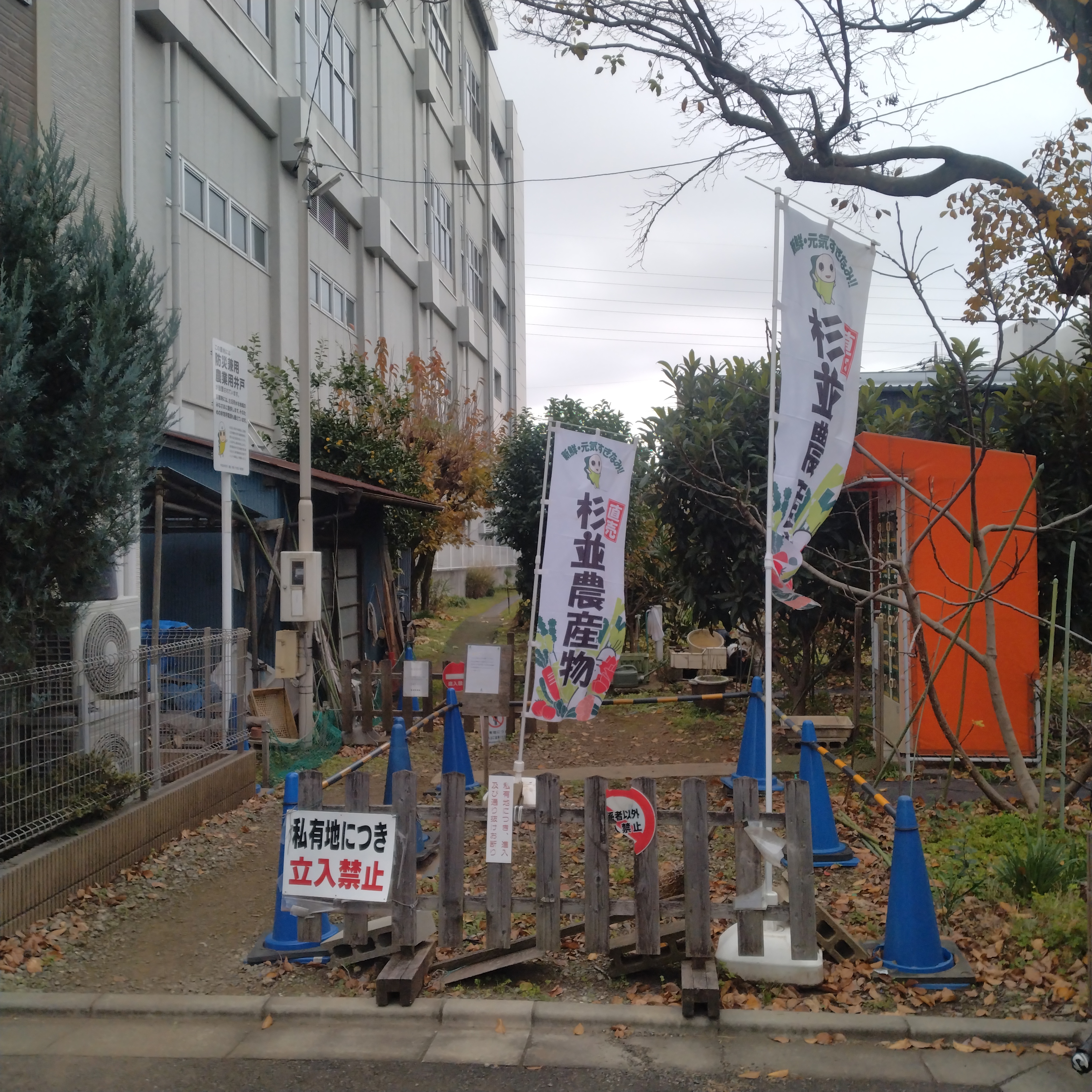 マキノファーム1