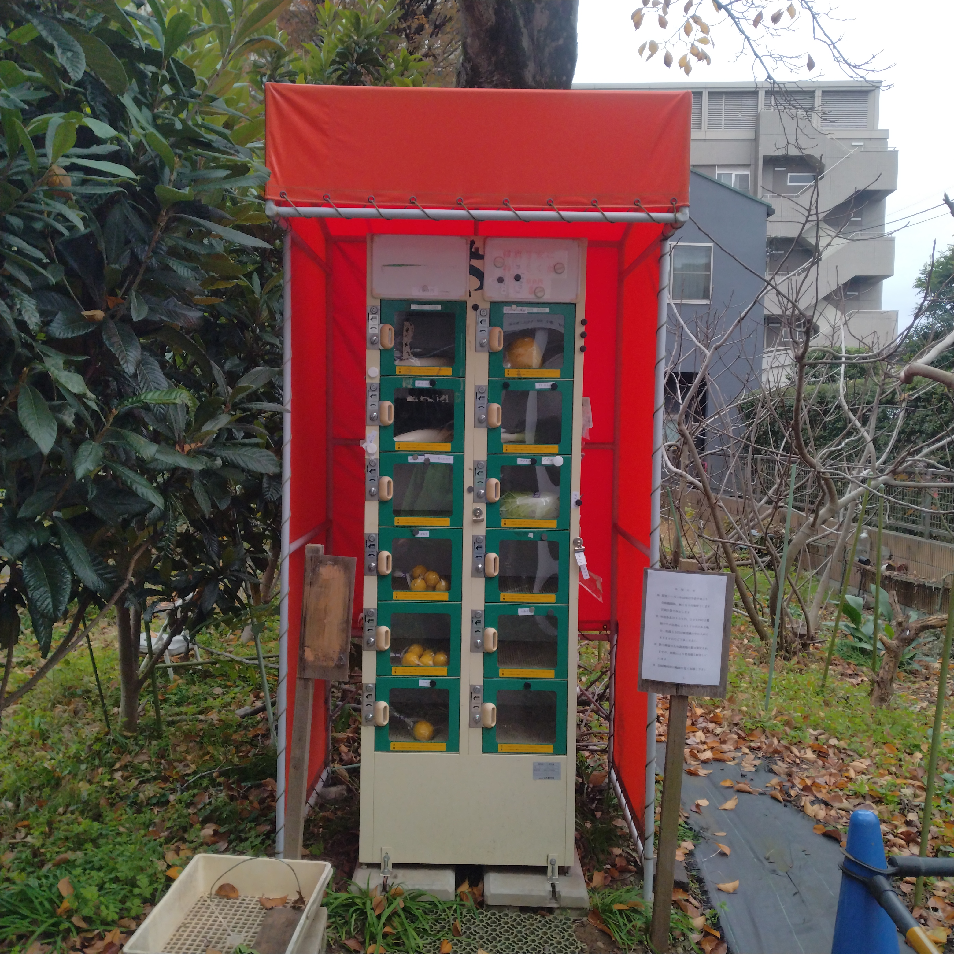 マキノファーム自販機