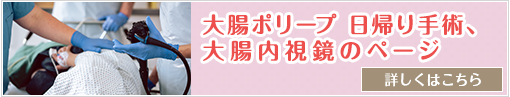 大腸ポリープ日帰り手術、大腸内視鏡ページ